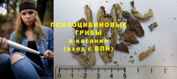 мескалин Белокуриха
