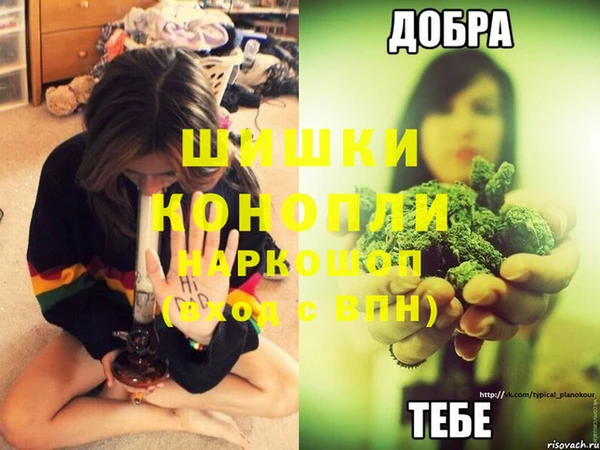 крисы Белоозёрский
