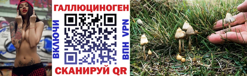 Псилоцибиновые грибы MAGIC MUSHROOMS хочу Туймазы